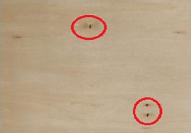 (b) Raw plywood board with defects.
